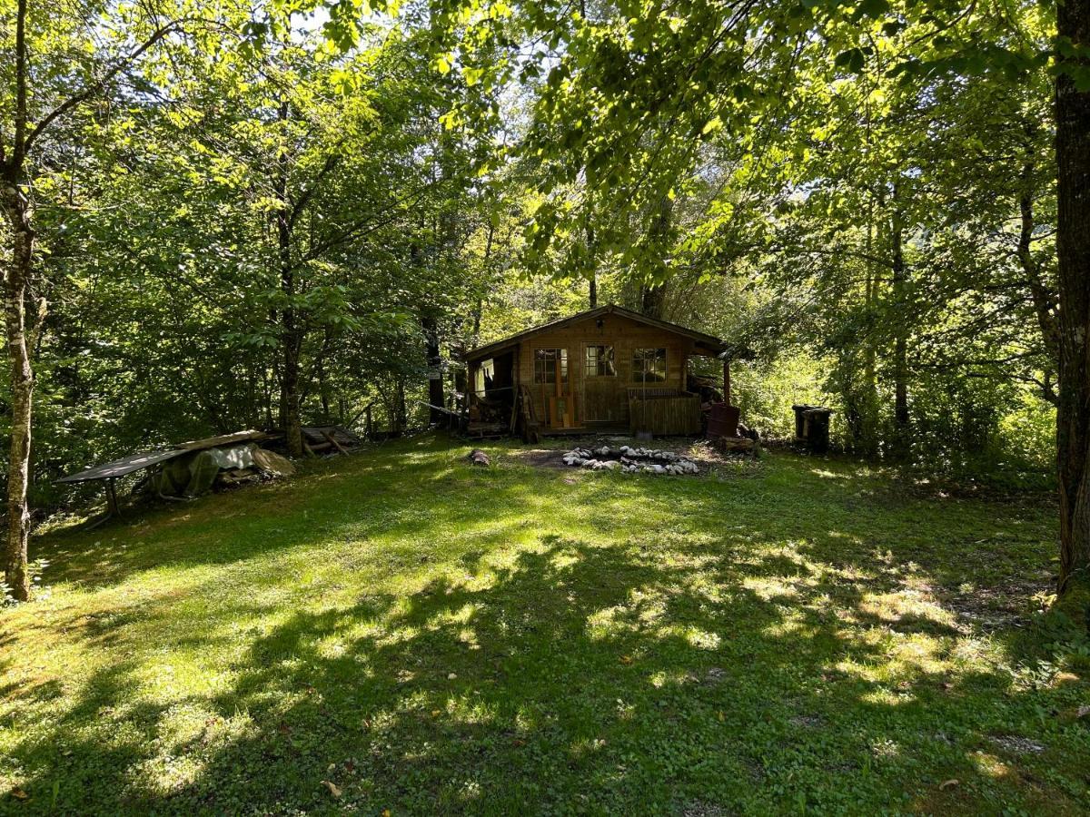 Haus Am Wald -Fewo 2 มาร์คแชลเลนแบร์ก ภายนอก รูปภาพ
